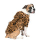Pets XSmall (Fits Up to 10 lbs)